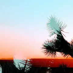 Photography, photo 1 of 17